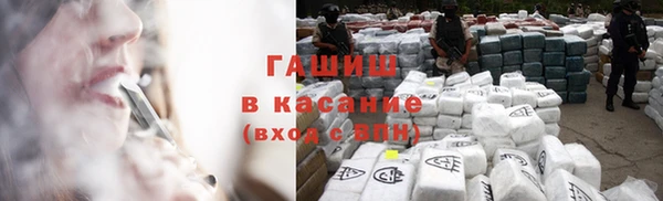 сатива Алзамай