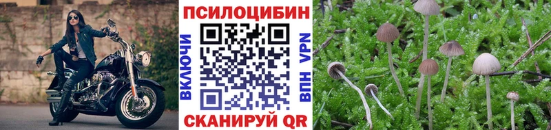 купить  сайты  Злынка  Галлюциногенные грибы ЛСД 